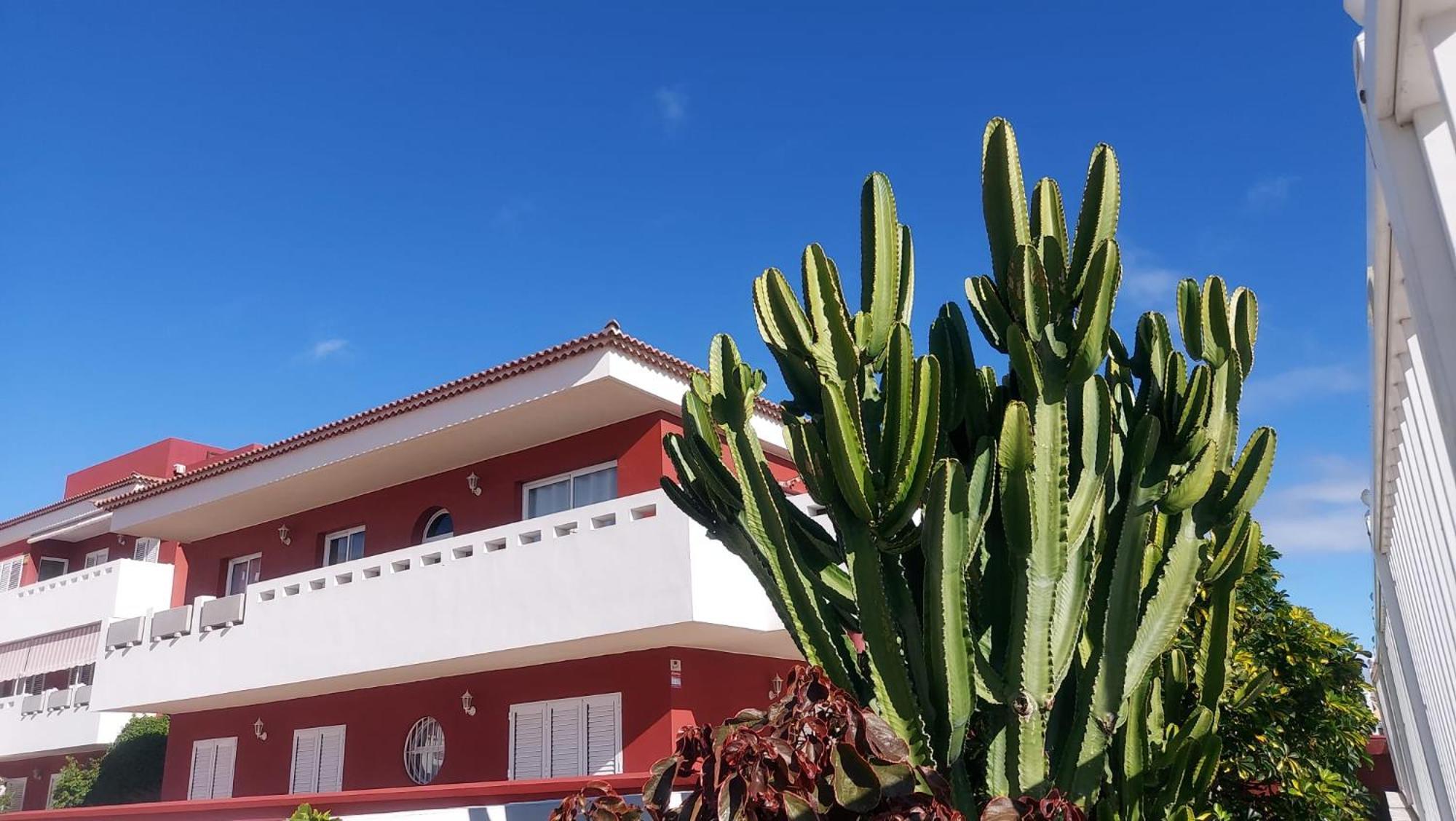 Rdg Home Puertito de Guimar Eksteriør billede